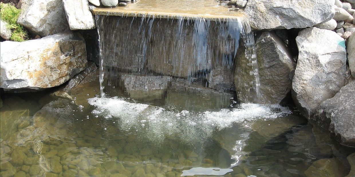 Forest Landscape Inc. Forest Landscape Inc.